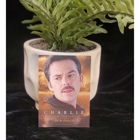 Collectible Charlie Swan Trading Card, New Moon - Picture 2 of 6